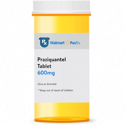 Acquistare Praziquantel generico farmacia